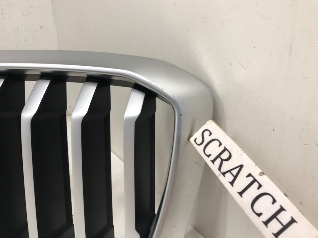 Grille Grill BMW X3 X4 G01 G02 2022-2023 51137931236 OEM
