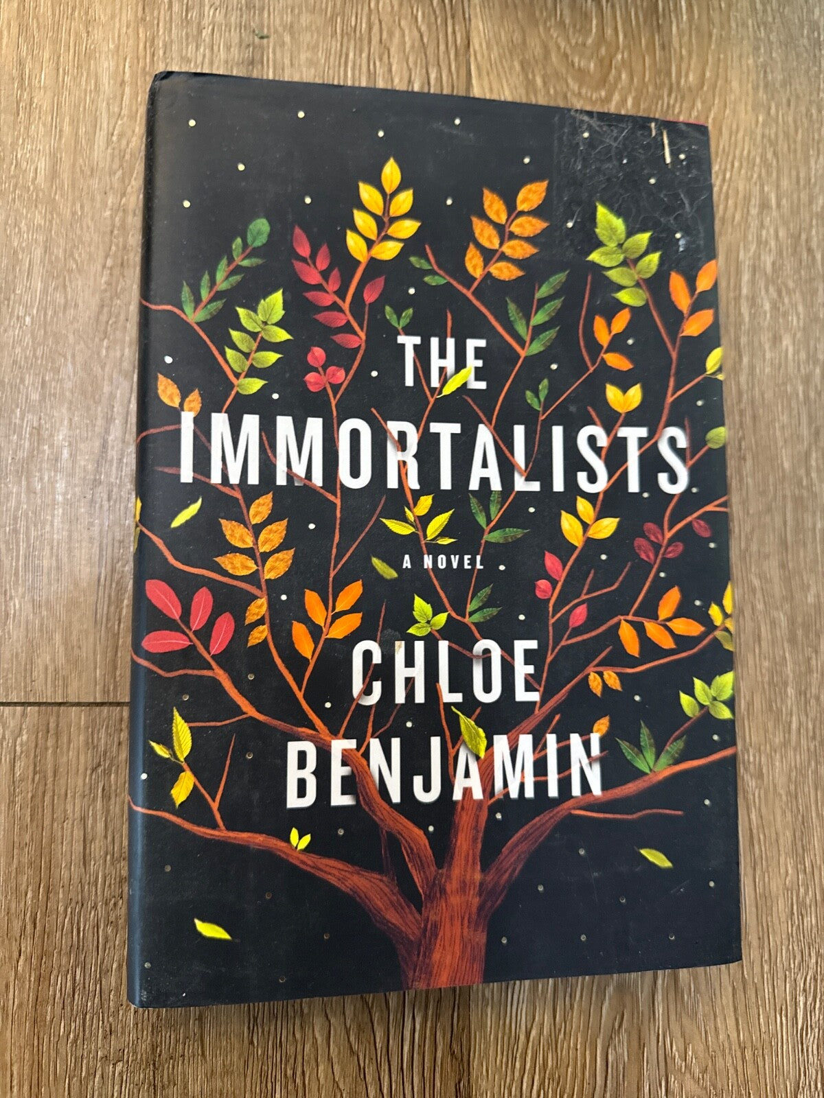 The Immortalists Benjamin, Chloe [paperback]